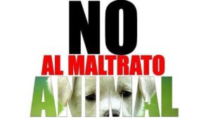 Cartel de No al Maltrato Animal