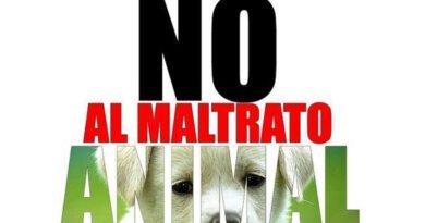 Cartel de No al Maltrato Animal