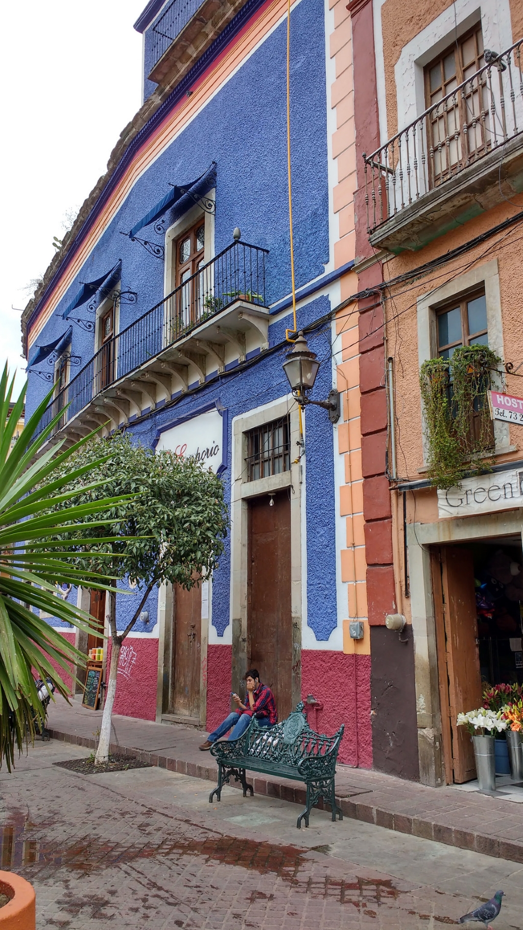 Guanajuato Calle