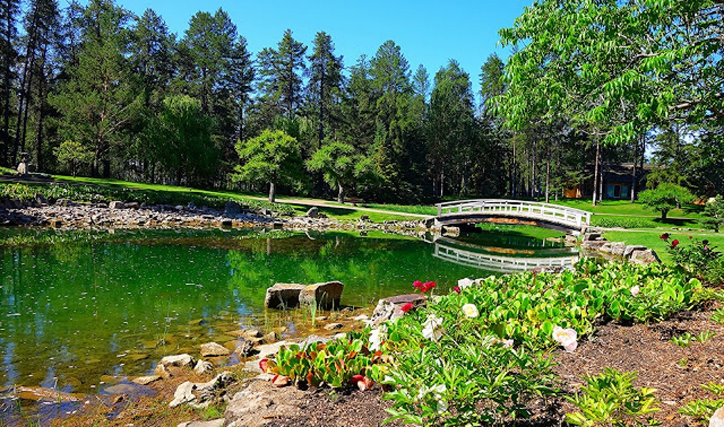 Jardín Devonian en Alberta Canadá La Mirilla Contenidos 