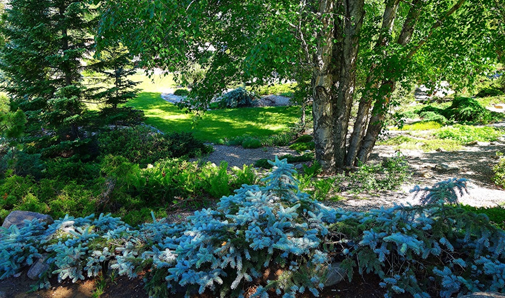 Jardín Devonian en Alberta Canadá La Mirilla Contenidos 