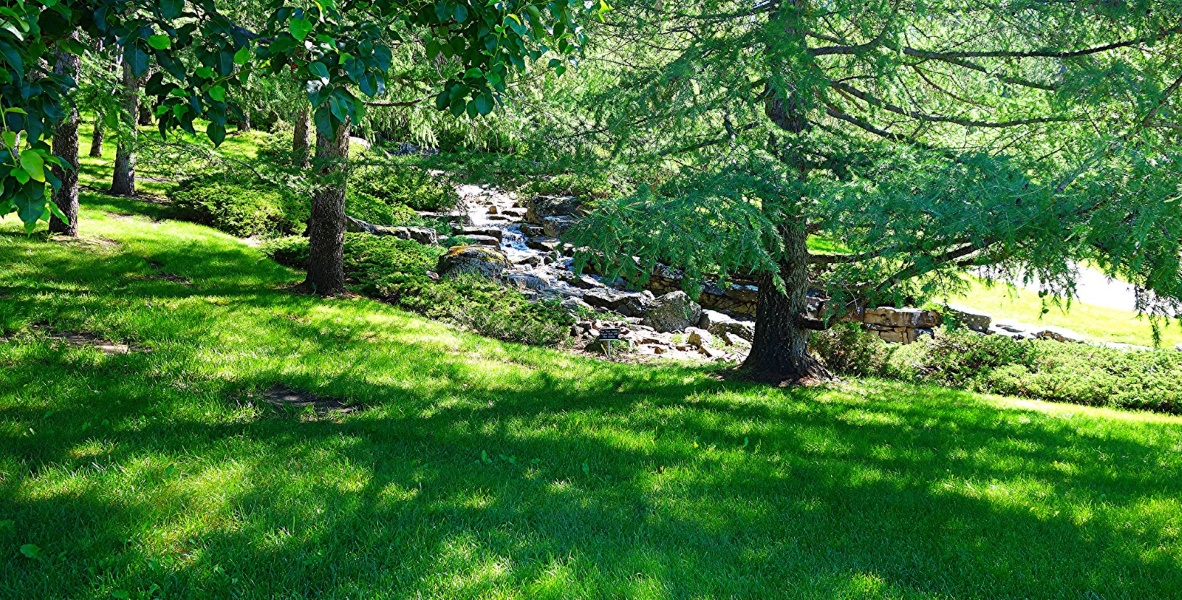 Jardín Devonian en Alberta Canadá La Mirilla Contenidos 