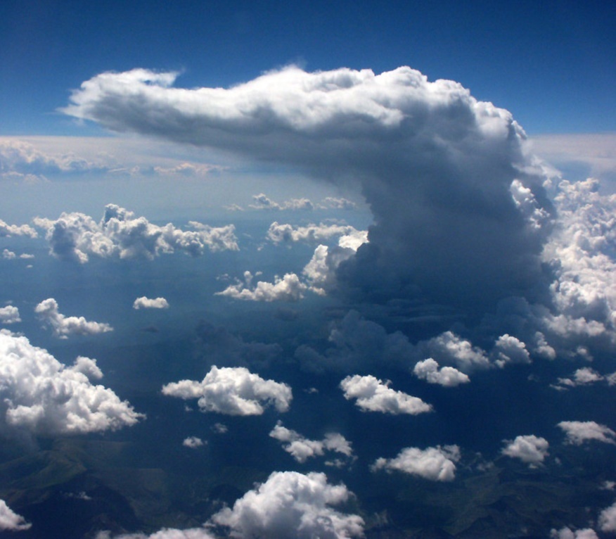 Обитатель облаков. Причудливые облака в небе. Облака форма. Облако похожее на крокодила. Облака красивой формы.