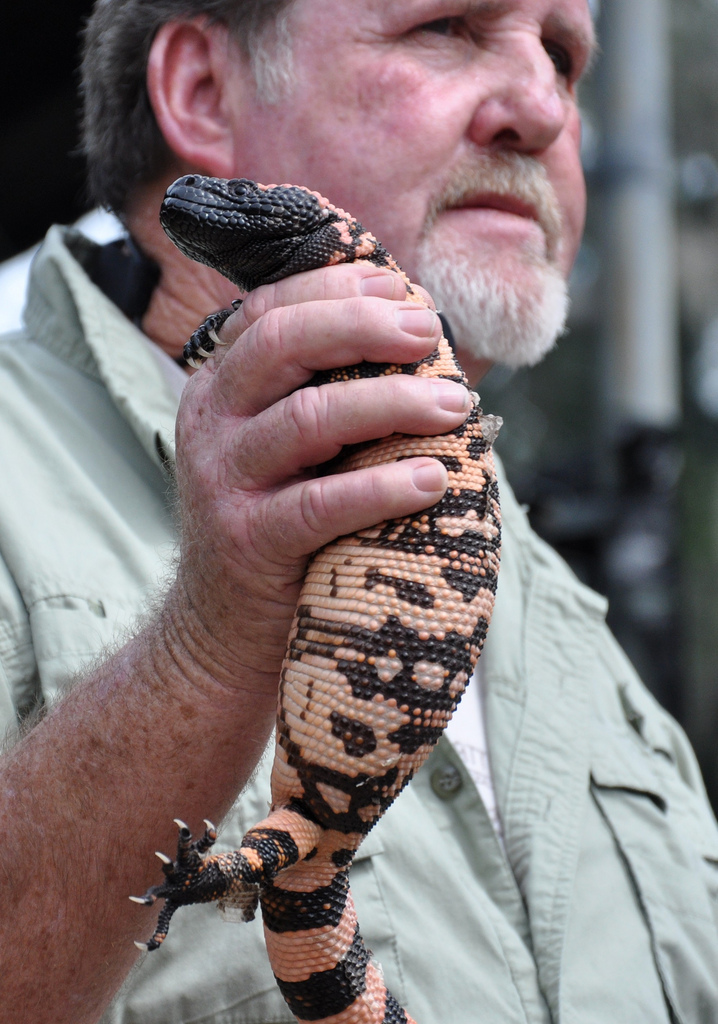 Rattle Snake Festival en San Antonio, Florida (14)