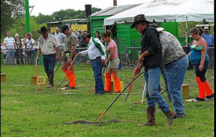 Rattle Snake Festival en San Antonio, Florida (12)