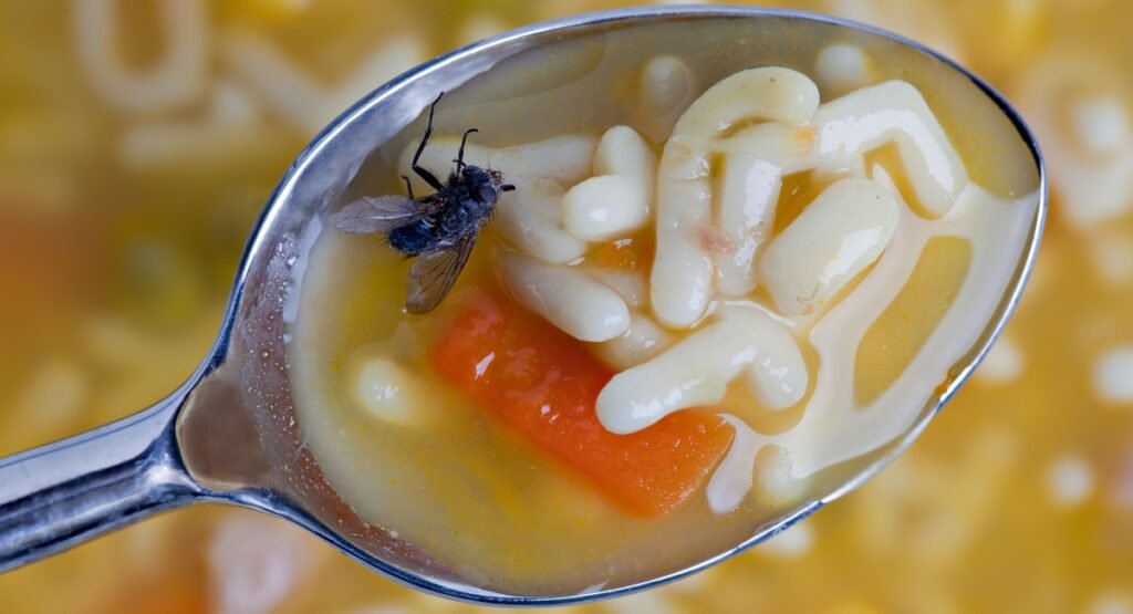 mosca en la sopa