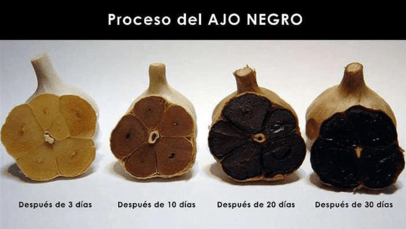 Ajo Negro