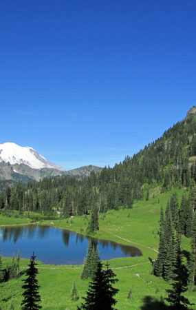 Monte Rainier