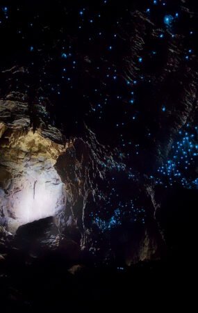 Waitomo Glowworm Caves