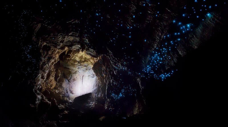 Waitomo Glowworm Caves