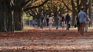 Personas de distintas edades caminando y montando en bicicleta en un parque, representando cómo empezar el desarrollo personal a través de pequeños cambios diarios.