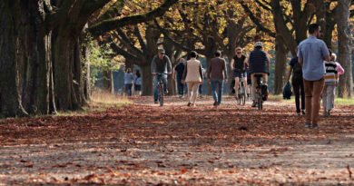 Personas de distintas edades caminando y montando en bicicleta en un parque, representando cómo empezar el desarrollo personal a través de pequeños cambios diarios.