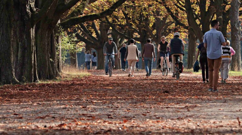 Personas de distintas edades caminando y montando en bicicleta en un parque, representando cómo empezar el desarrollo personal a través de pequeños cambios diarios.
